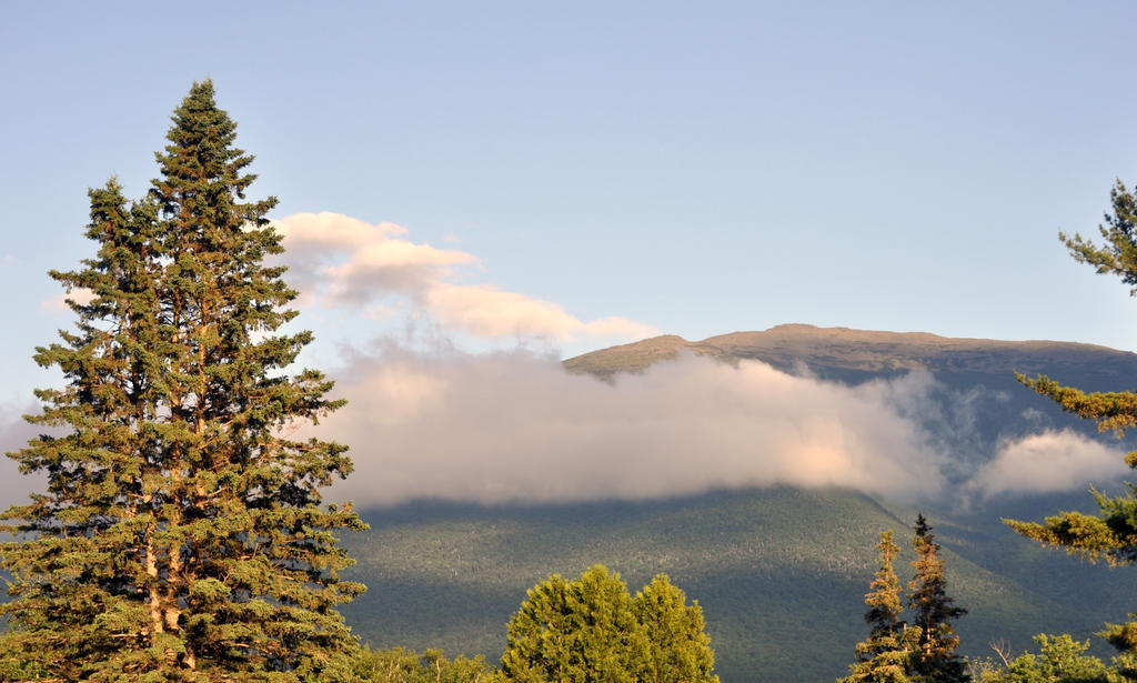 Mount Jefferson View Motel Randolph Eksteriør bilde